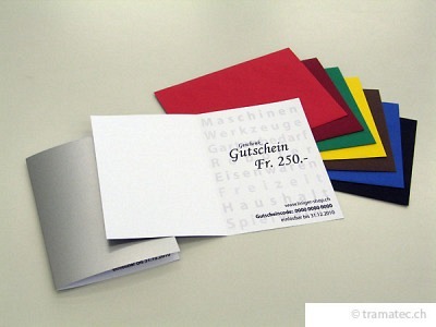 Geschenk-Gutschein Fr. 250.-