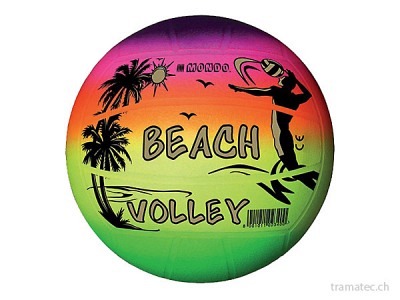 Mondo Volley Rainbow Ball