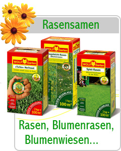 Rasensamen, Dünger