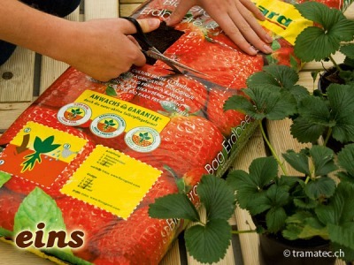 Floragard Bio Grow Bag Tomate & Paprika