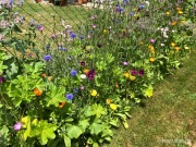 Bild 3 von 3
