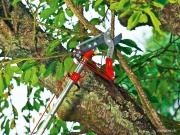 Image 3 de 7